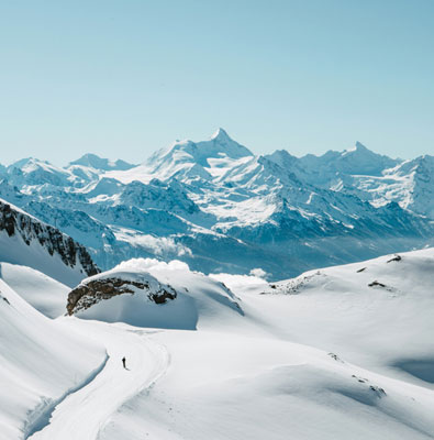 xx mobile phone 16 series _copy_copy